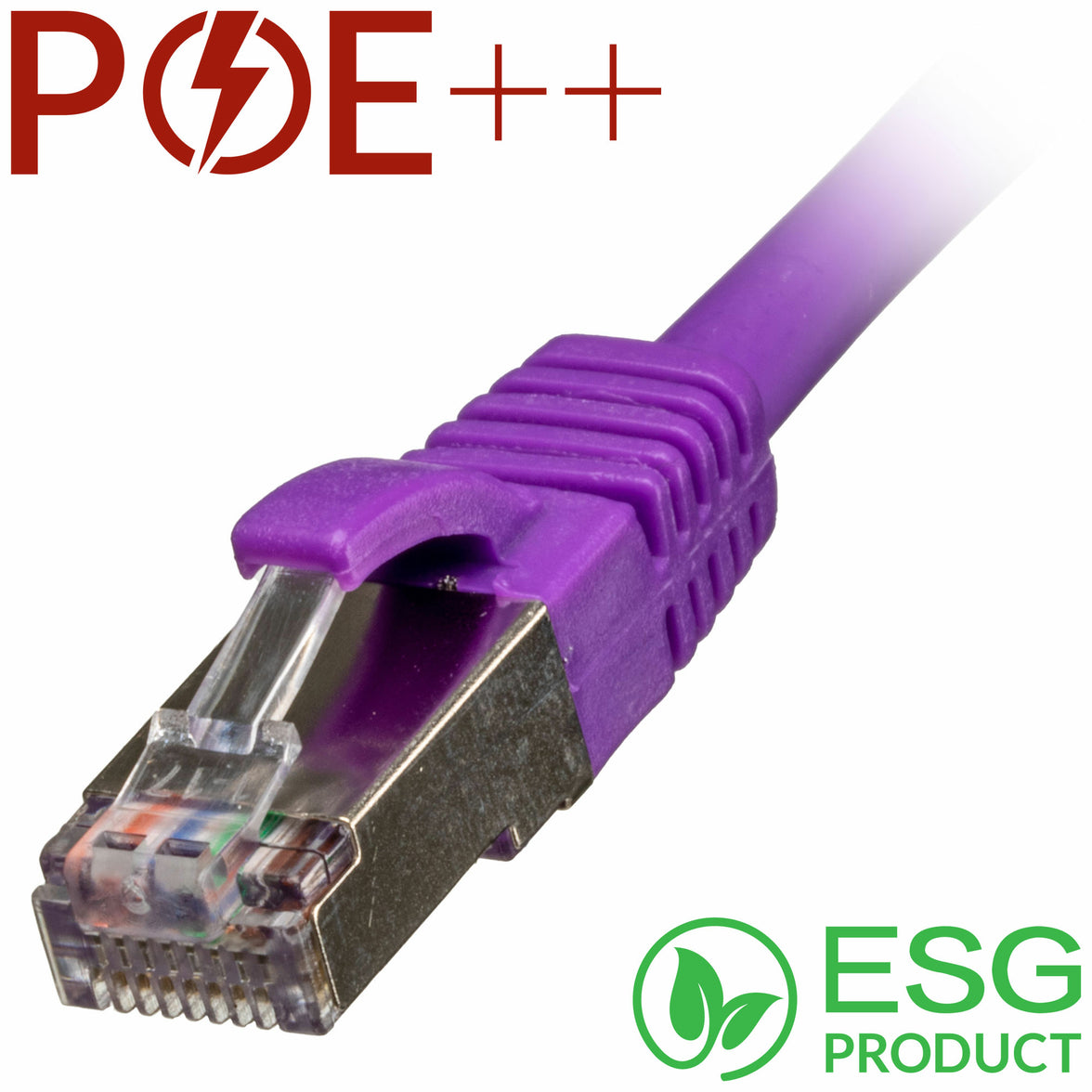 CNL 100PK 1M C6a Vi SFTP Ls 26AWG SB