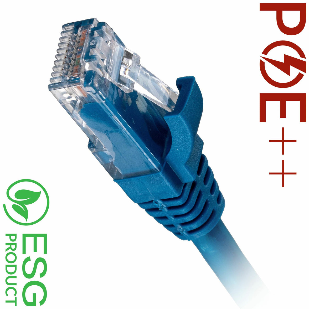 CNL 100PK 2M C6 Bl UTP Ls 24AWG SB