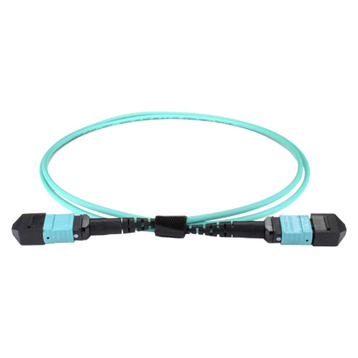 CNL 0.5M OM4 B12 MPO 12F Aq TRUNK M-B