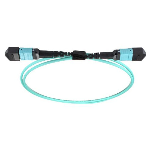 CNL 1M OM4 B12 MPO 12F Aq TRUNK M-B