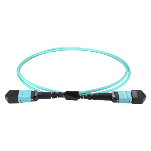 CNL 2M OM4 B12 MPO 12F Aq TRUNK M-B