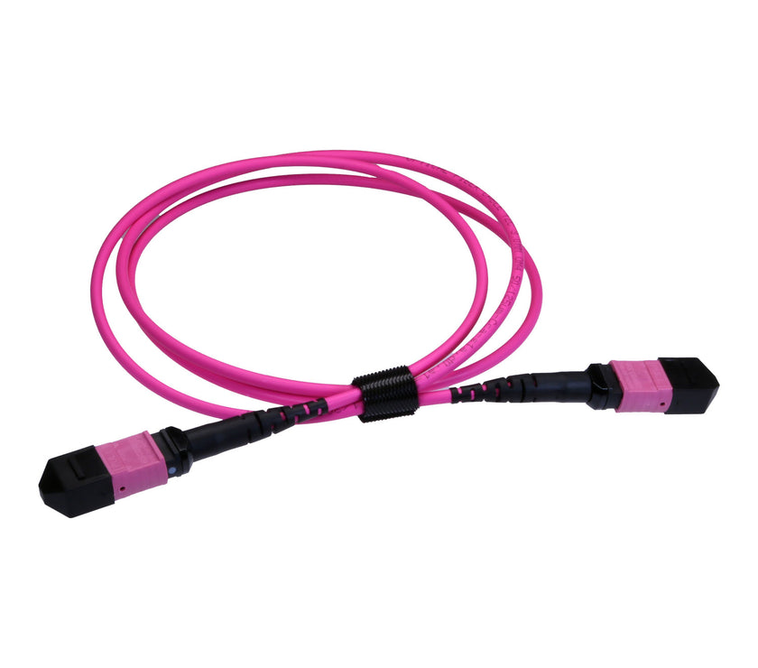 CNL 2M OM4 B12 MPO 12F Ev TRUNK M-B