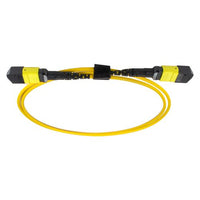 CNL 5M OS2 MPO 12F Yw TRUNK M-B