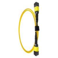 CNL 5M OS2 MPO 12F Yw TRUNK M-B