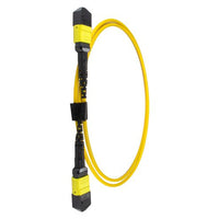 CNL 20M OS2 MPO 12F Yw TRUNK M-B