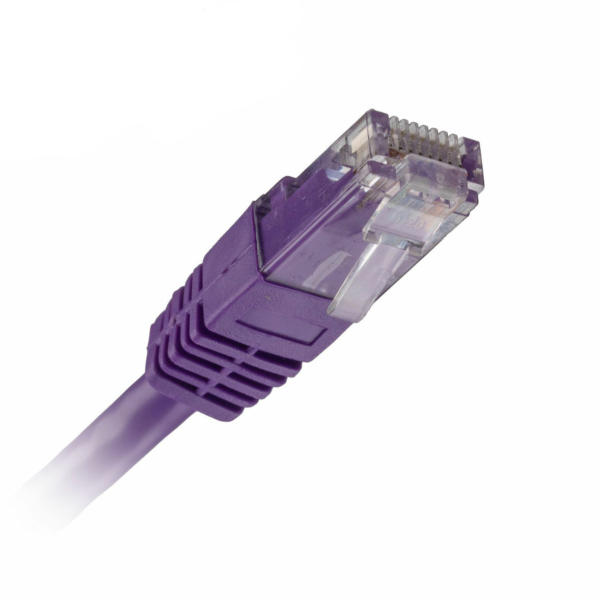 CNL 100PK 1M C5e Vi UTP PVC 26AWG FMB