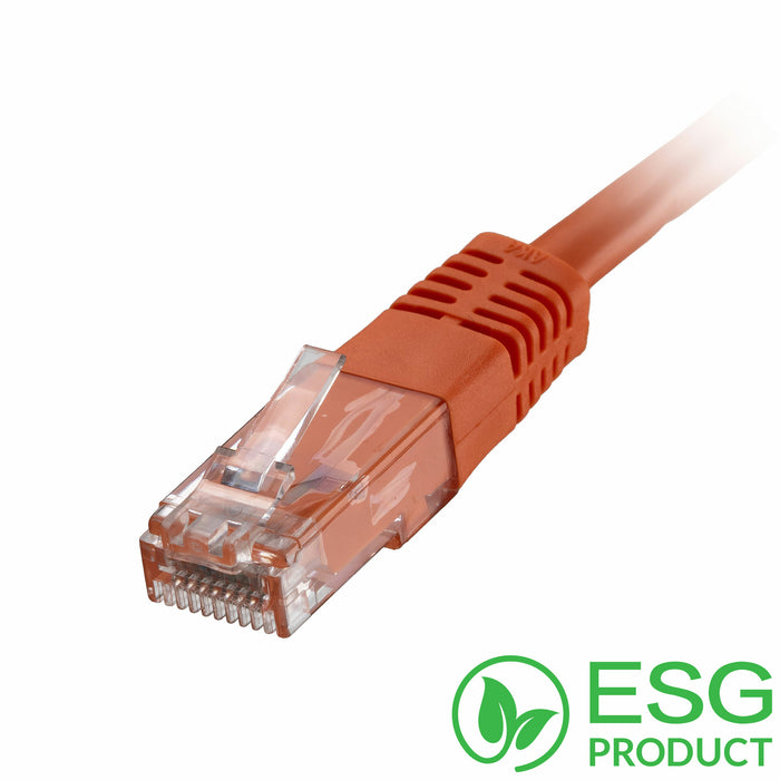 CNL 100PK 1M C5e Or UTP PVC 26AWG FMB