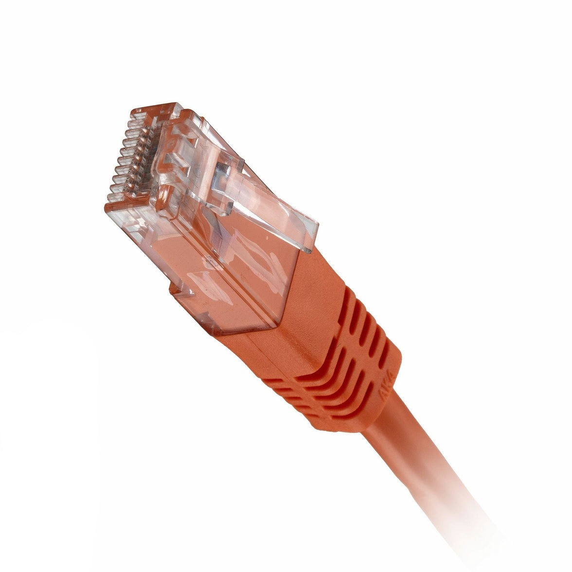CNL 100PK 1M C5e Or UTP PVC 26AWG FMB