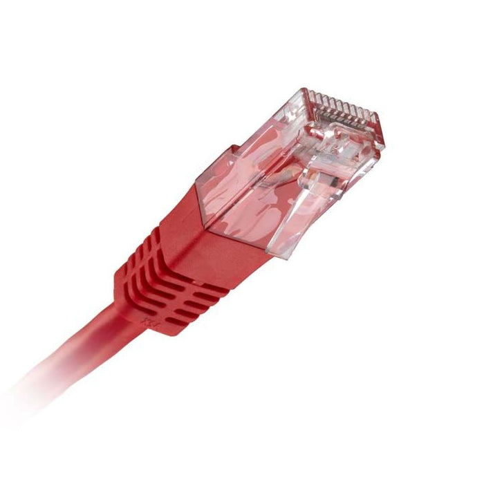 CNL 100PK 2M C6 Rd UTP PVC 24AWG FMB