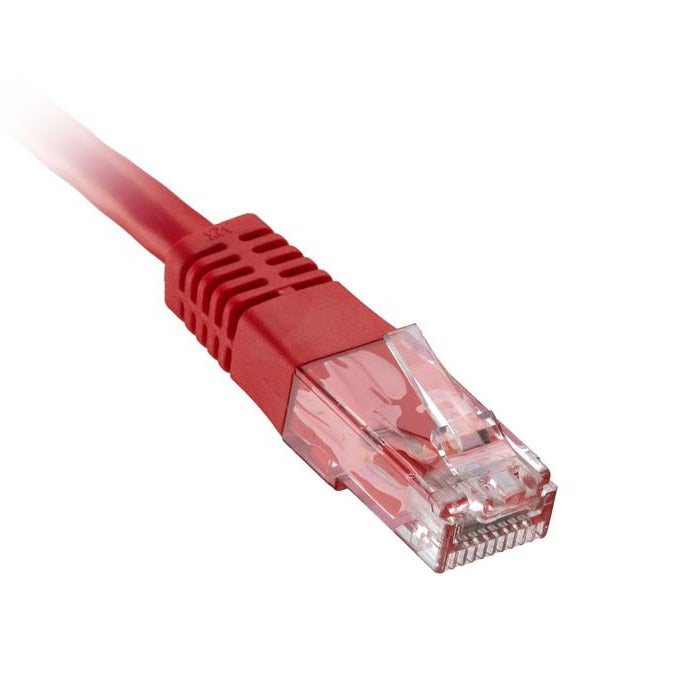 CNL 100PK 2M C6 Rd UTP PVC 24AWG FMB