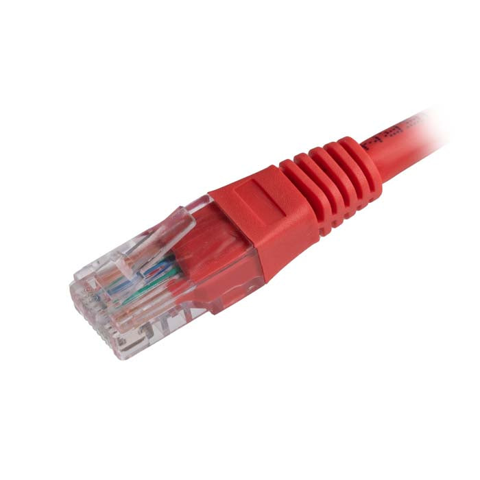 CNL 100PK 1M C5e Rd UTP PVC 24AWG FMB