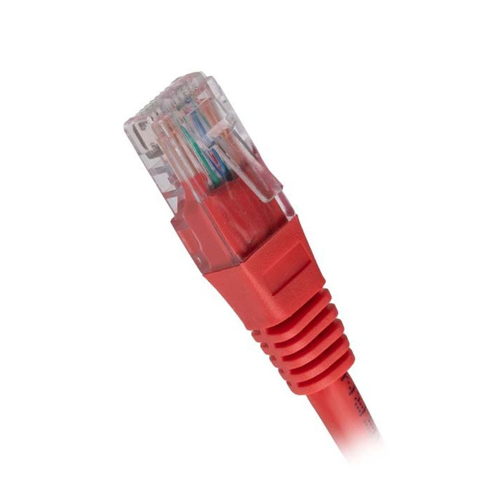 CNL 100PK 1M C5e Rd UTP PVC 26AWG FMB