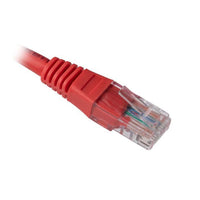 CNL 100PK 1M C5e Rd UTP PVC 26AWG FMB