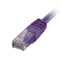 CNL 50PK 5M C6 Vi UTP PVC 24AWG FMB