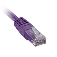 CNL 50PK 5M C6 Vi UTP PVC 24AWG FMB