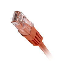CNL 100PK 1M C6 Or UTP PVC 24AWG FMB