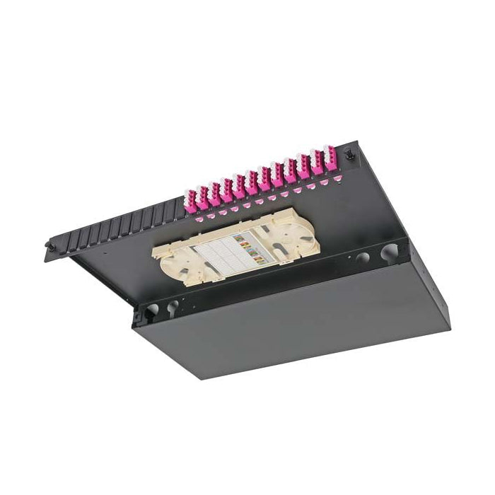 CNL OF PPan OM3/4 48 OF LC QD x 12 Ev