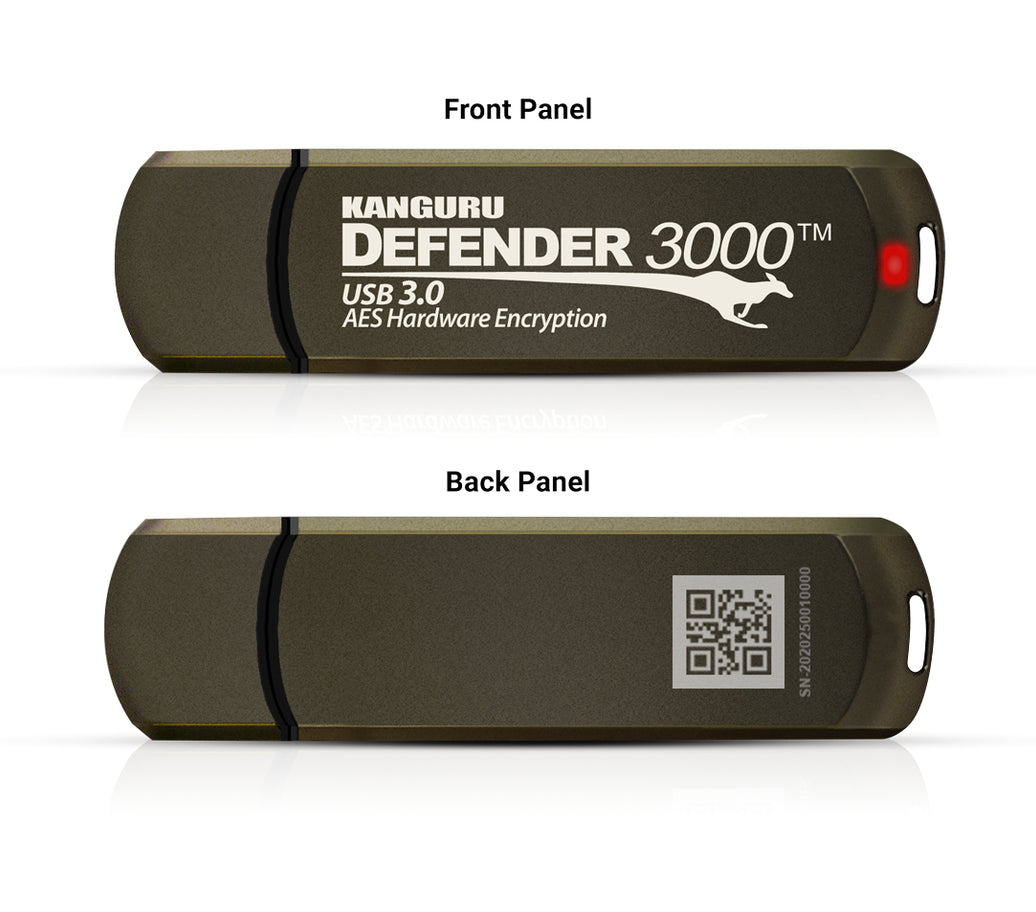 256GB Kanguru Defender 3000