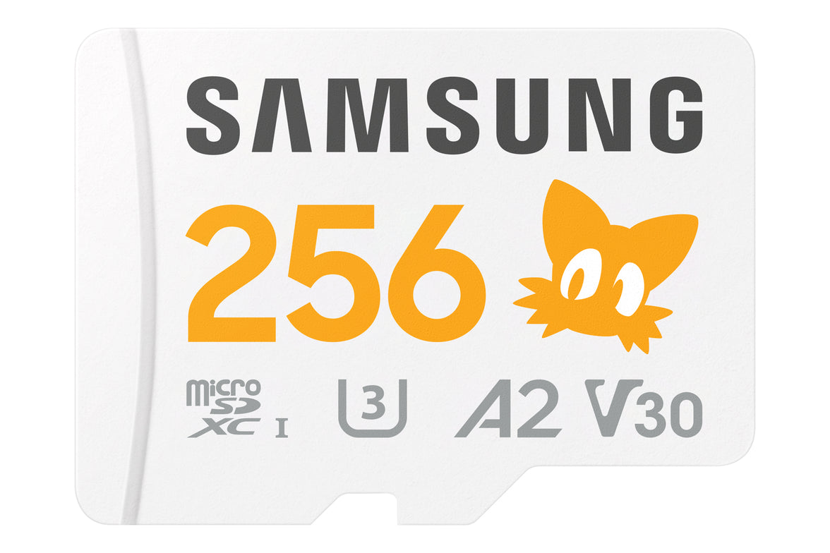 Samsung Sonic PRO Plus 256GB