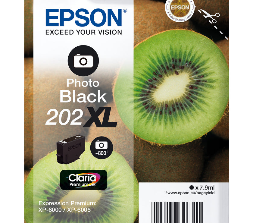 202XL Photo Black Ink