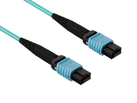 CNL 30M OM4 B12 MPO 12F Aq TRUNK M-B