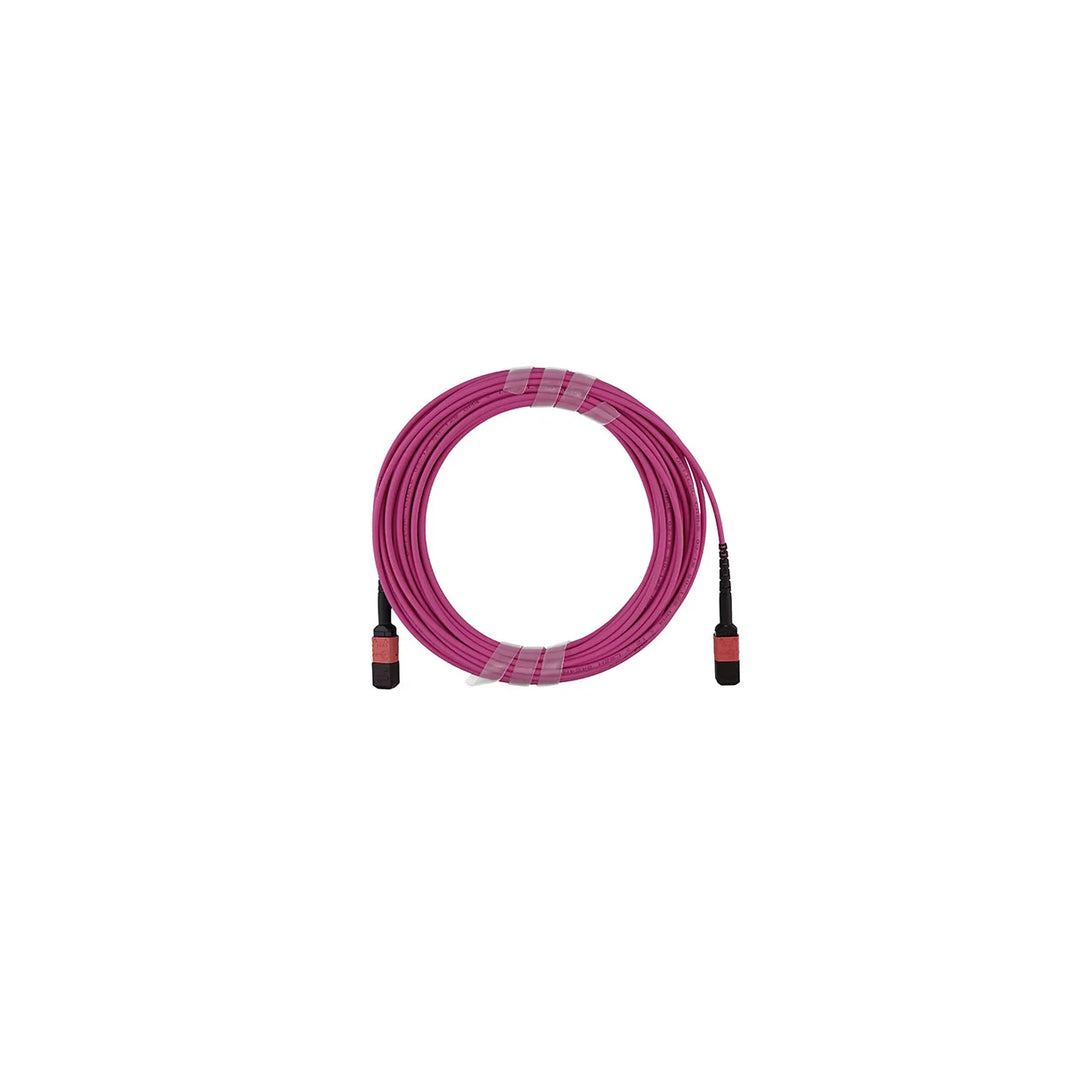 CNL 5M OM4 B12 MPO 12F Ev TRUNK M-B