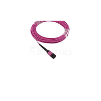 CNL 5M OM4 B12 MPO 12F Ev TRUNK M-B