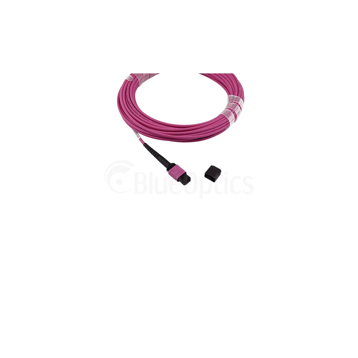 CNL 5M OM4 B12 MPO 12F Ev TRUNK M-B