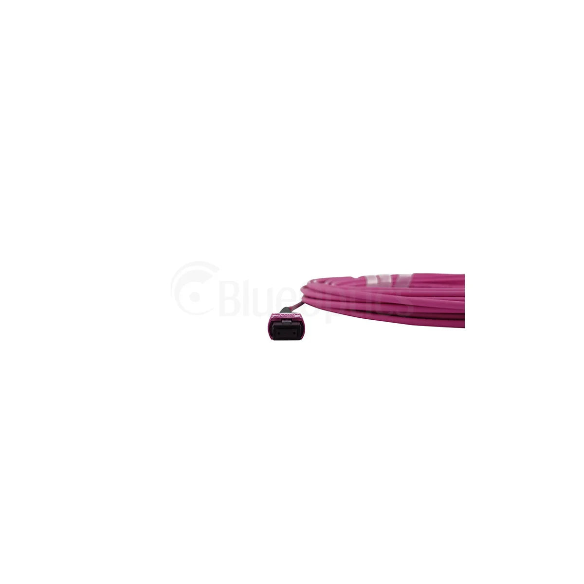 CNL 5M OM4 B12 MPO 12F Ev TRUNK M-B
