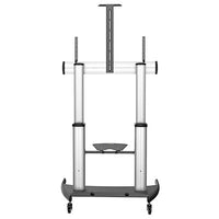 StarTech.com Mobile TV Stand