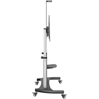 StarTech.com Mobile TV Stand