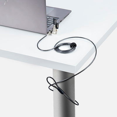 StarTech 25-Pack Laptop Lock