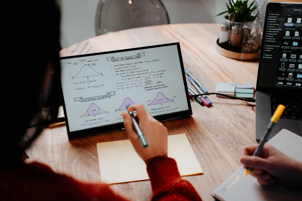 Verbatim PMT-14 Portable TS Monitor 14"