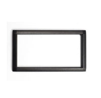 2N IP Force Frame
